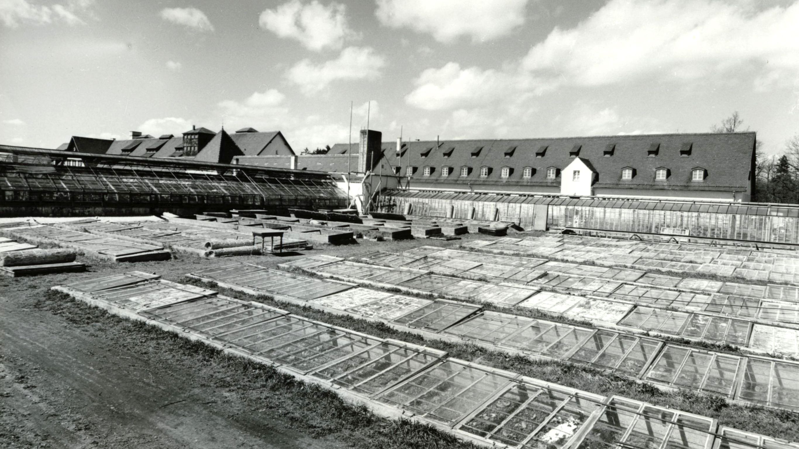 Historisches Foto der Anlage "Kräutergarten" zur NS-Zeit
